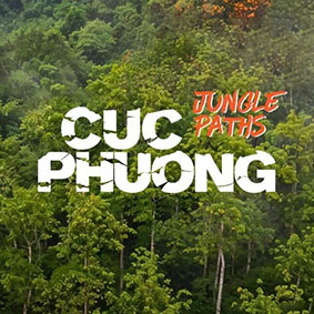 CUC PHUONG JUNGLE PATHS